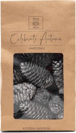 Celebrate Autumn Pine Cones silver