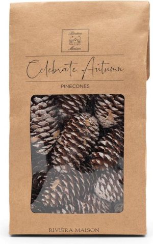 Celebrate Autumn Pine Cones white