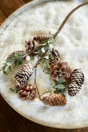 Pinecone Branch