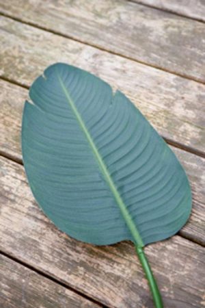 Rivièra Maison Leonie - Strelitzia Leaf (M) - Decoratieve Tak - Groen